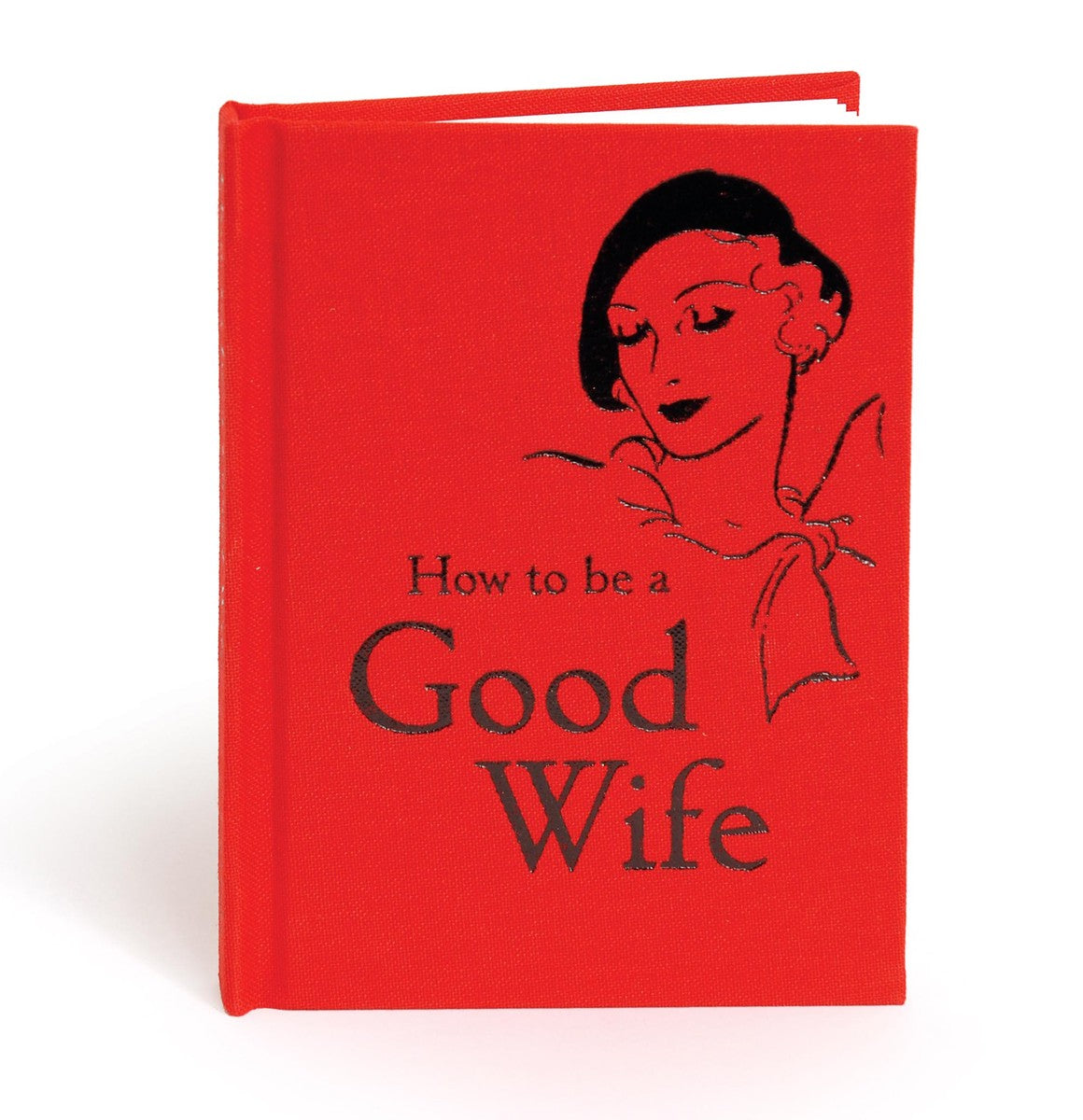 How to Be a Good Wife