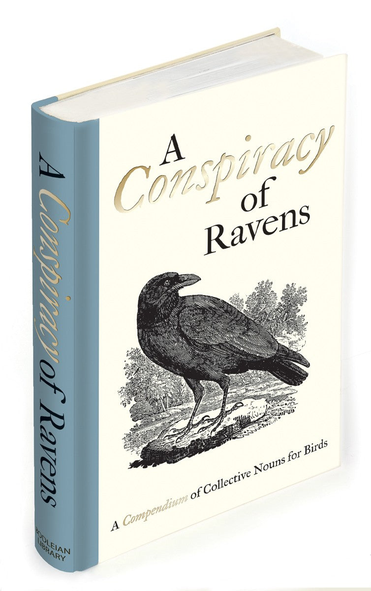 A Conspiracy of Ravens