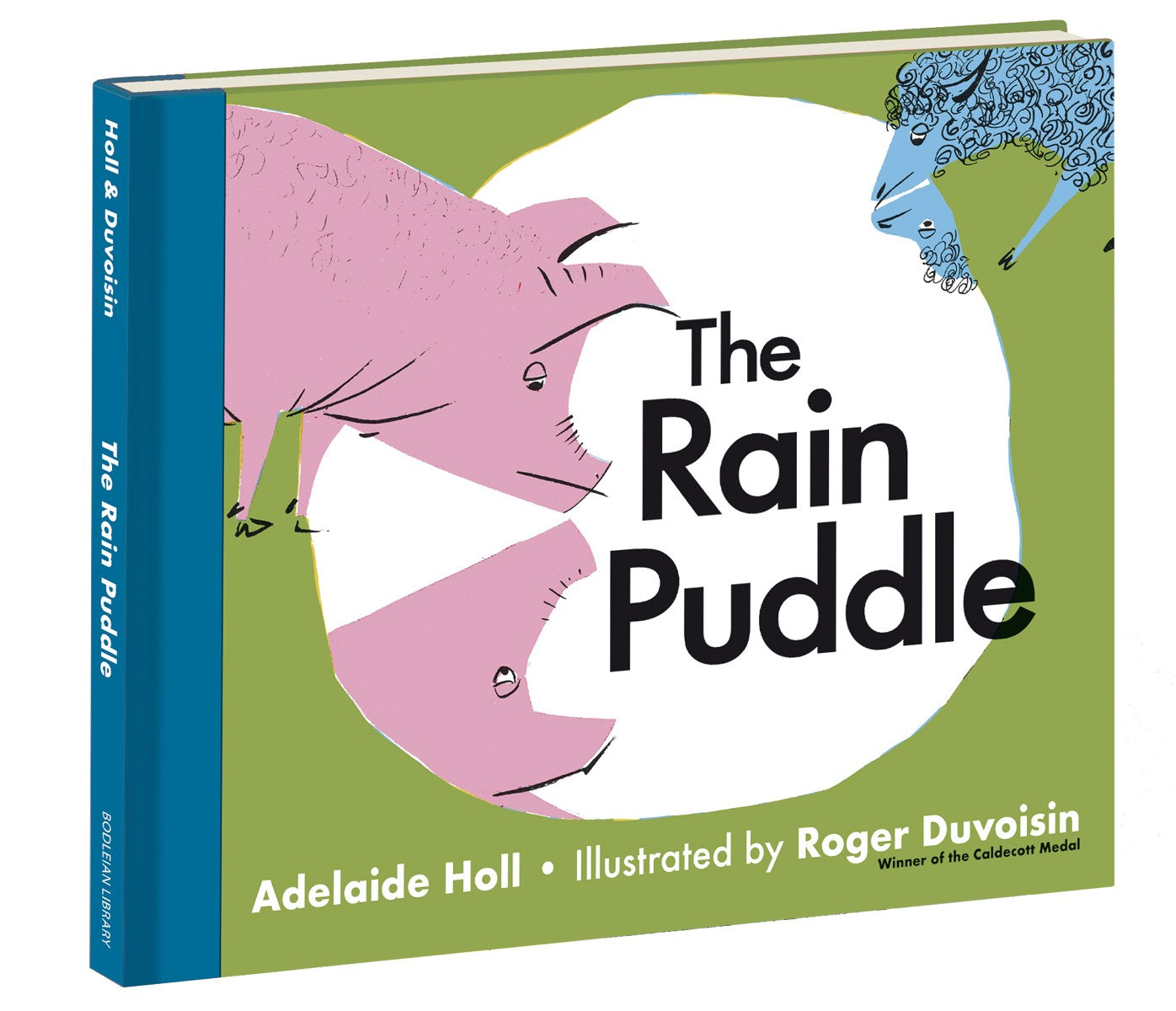 The Rain Puddle