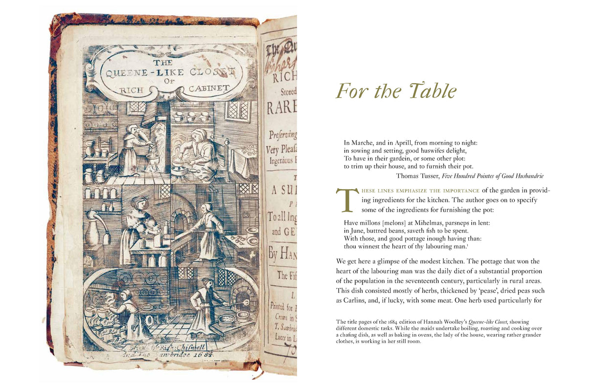 Domestic Herbal, The: Plants for the Home in the Seventeenth Century