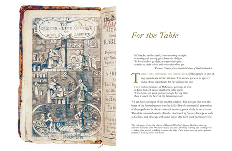 Domestic Herbal, The: Plants for the Home in the Seventeenth Century