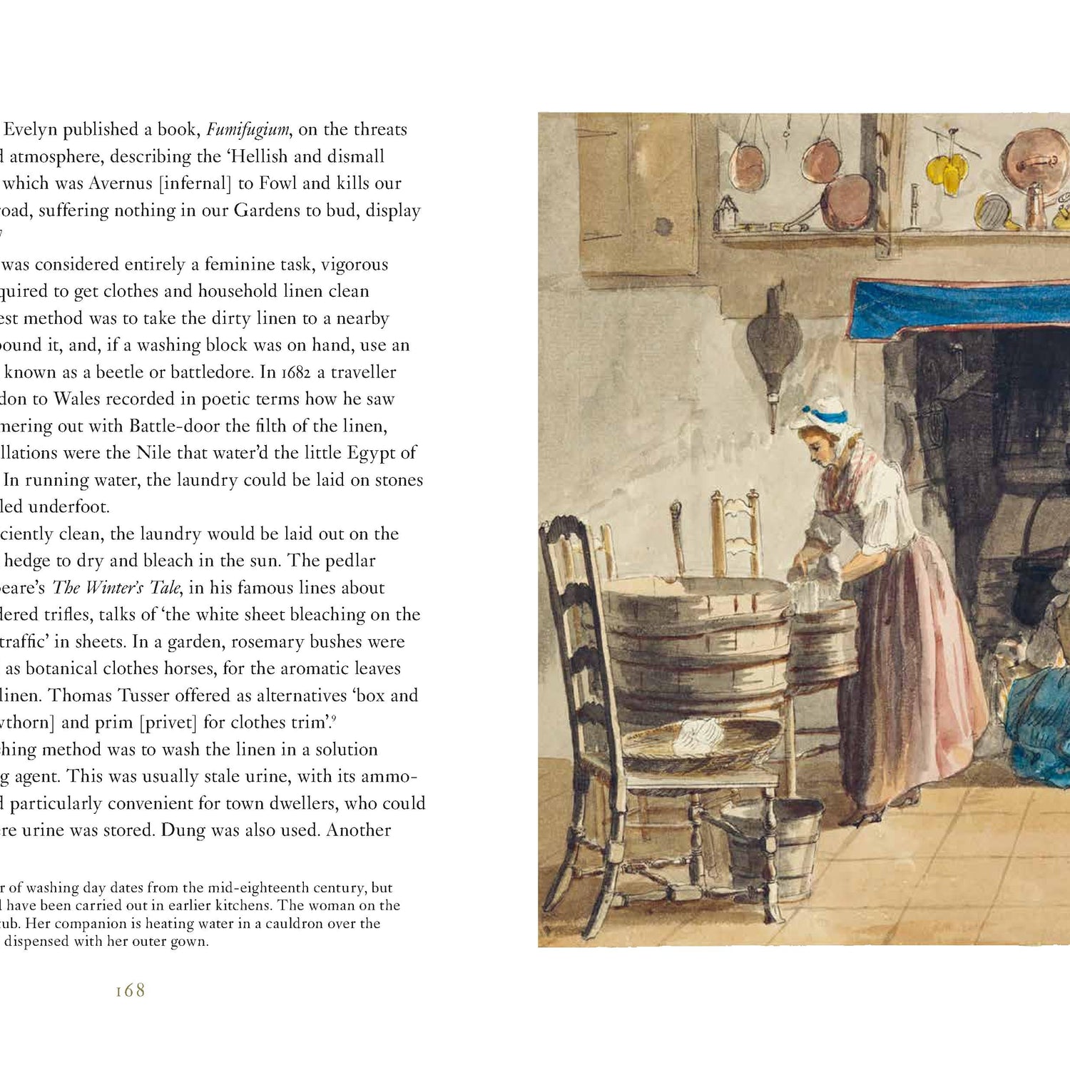 Domestic Herbal, The: Plants for the Home in the Seventeenth Century