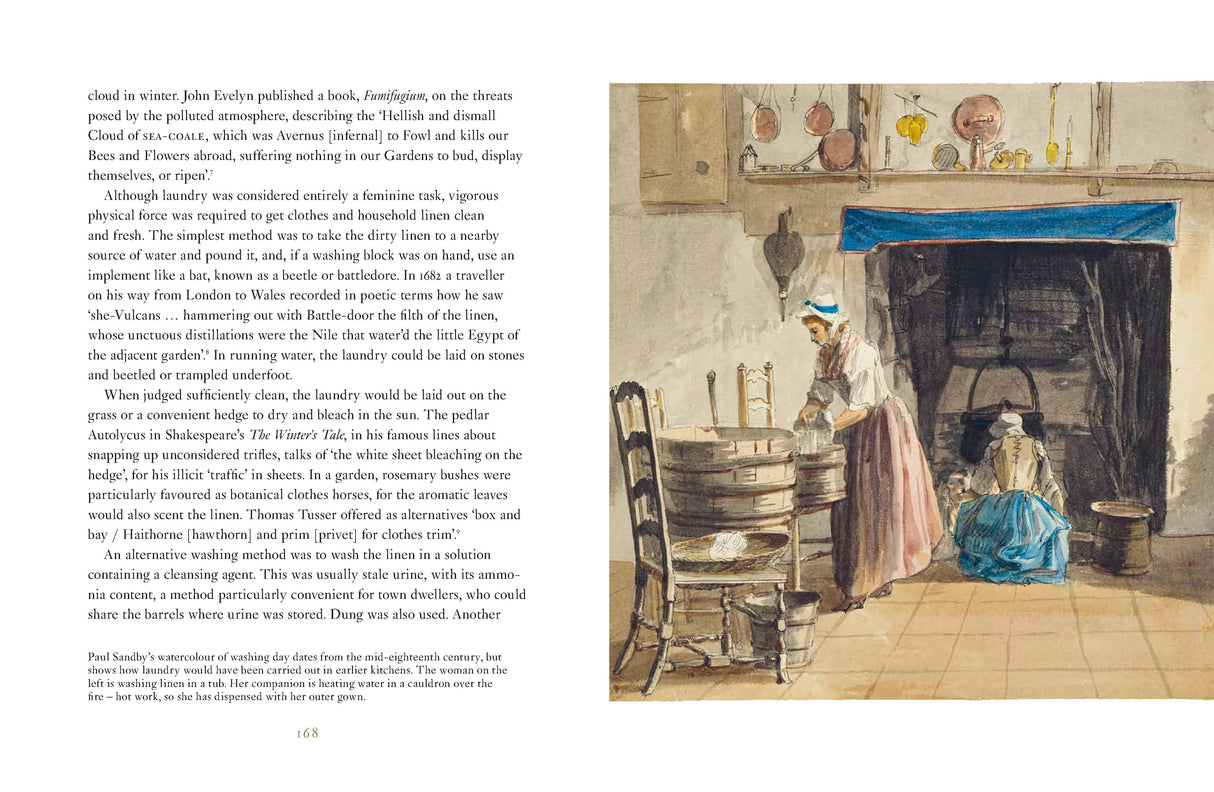 Domestic Herbal, The: Plants for the Home in the Seventeenth Century