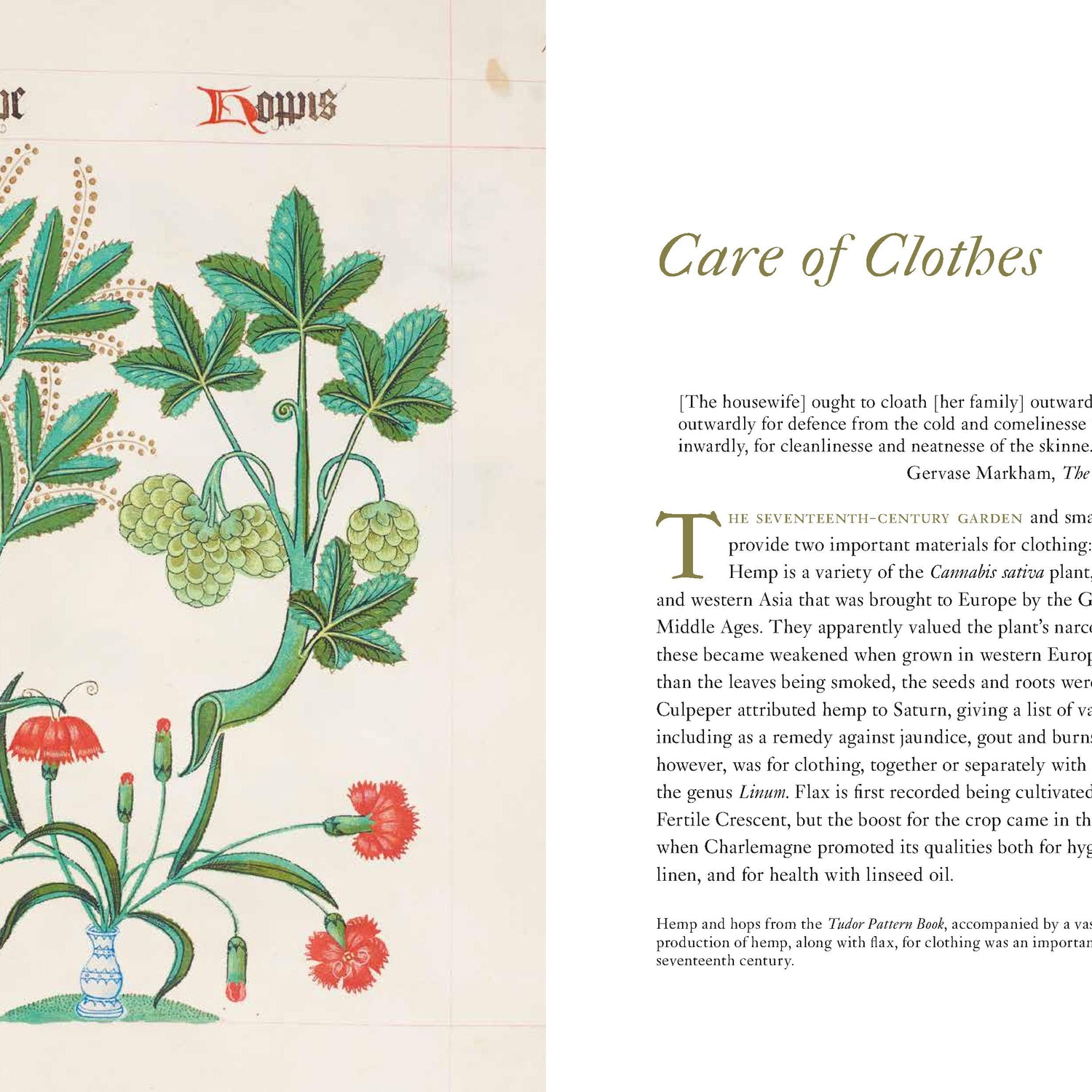 Domestic Herbal, The: Plants for the Home in the Seventeenth Century
