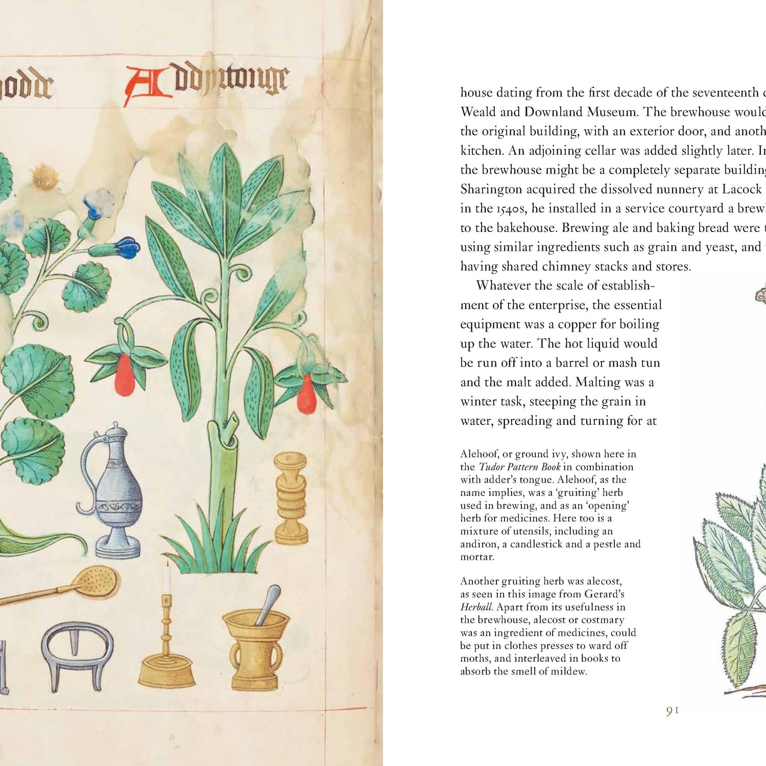 Domestic Herbal, The: Plants for the Home in the Seventeenth Century