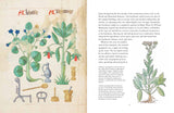 Domestic Herbal, The: Plants for the Home in the Seventeenth Century
