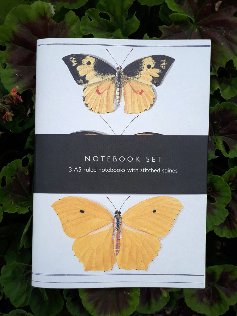 Butterfly Notebook Set