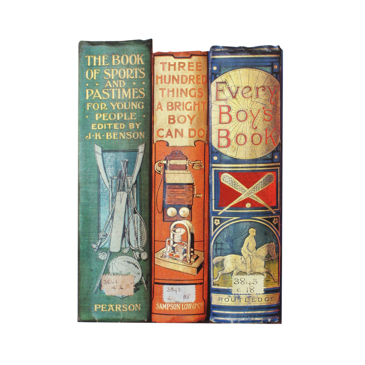 Every Boys Book Spines Greetings Card