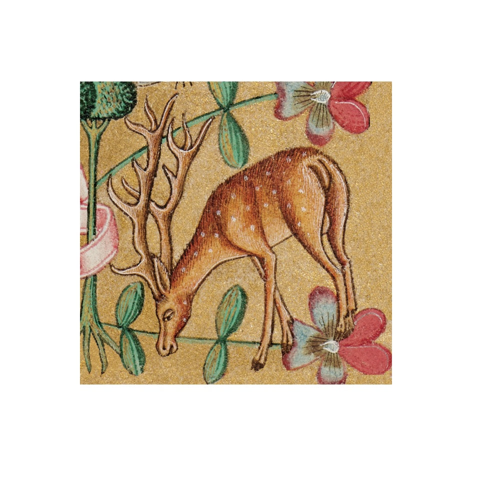 Deer in the Margins Christmas Card Pack