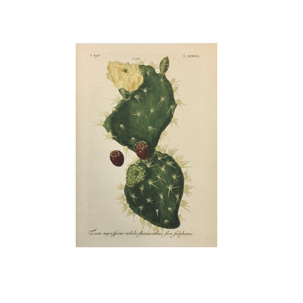 A6 Pear Cactus Notebook