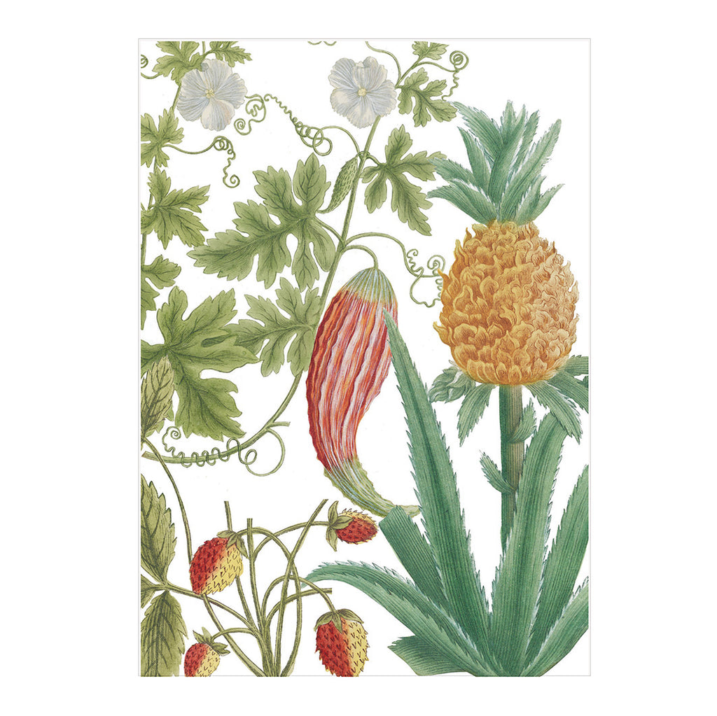 'Pineapple, Strawberries & Bitter Gourd' Notecard