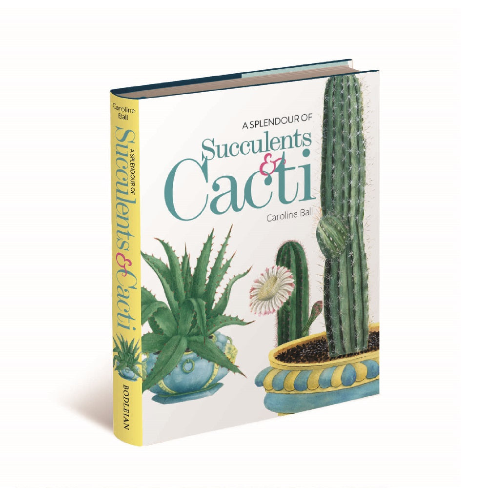 A Splendour of Succulents & Cacti