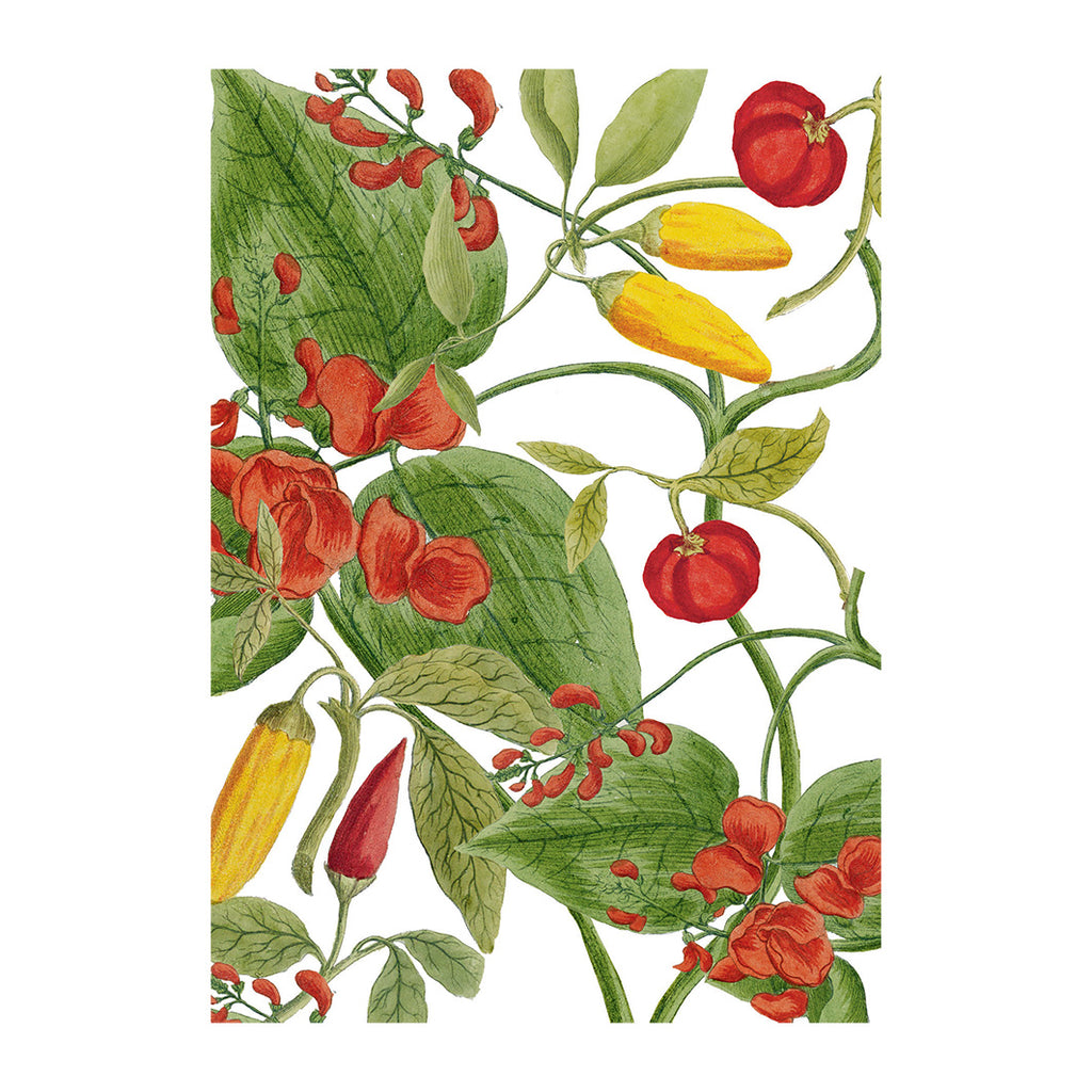 'Chillis & Beans' Greetings Card