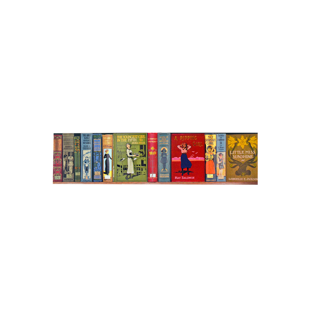 High Jinks! Bookshelves Bookmark
